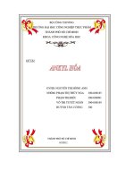 Luận Văn: Ankyl Hóa potx