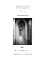 CATHEDRALS AND CLOISTERS OF THE SOUTH OF FRANCE ppt