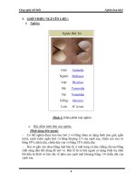 Công nghệ chế biến nghêu hun khói potx