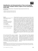 Báo cáo khoa học: Identiﬁcation and characterization of four novel peptide motifs that recognize distinct regions of the transcription factor CP2 doc