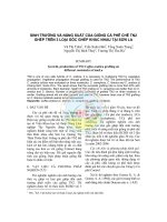 Sinh trưởng và năng suất của giống cà phê chè TN2 ghép trên 3 loại gốc ghép khác nhau tại Sơn La pdf