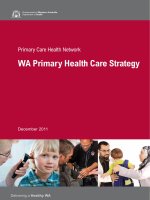 Primary Care Health Network WA Primary Health Care Strategy pptx