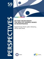 BEYOND MICROCREDIT: THE ROLE OF SAVINGS BANKS IN MICROFINANCE potx