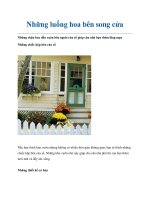Những luống hoa bên song cửa ppt