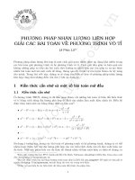 Kỹ thuật nhân lượng liên hợp