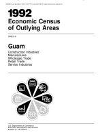 Economic Census of Outlying Areas 1992 doc