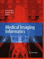 Medical Imaging Informatics docx