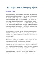 EU “sờ gáy” website thương mại điện tử pdf