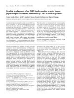 Báo cáo khoa học: Possible involvement of an FKBP family member protein from a psychrotrophic bacterium Shewanella sp. SIB1 in cold-adaptation potx