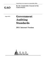 Government Auditing Standards 2011 Internet Version pot