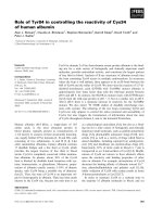 Báo cáo khoa học: Role of Tyr84 in controlling the reactivity of Cys34 of human albumin potx