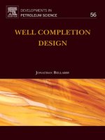 WELL COMPLETION DESIGN pot