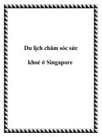 Du lịch chăm sóc sức khoẻ ở Singapore pptx