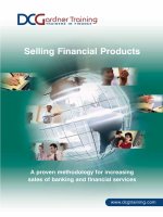 Selling Financial Products - A proven methodology for increasing sales of banking and financial services doc