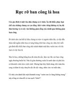 Rực rỡ ban công lá hoa doc