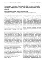 Báo cáo Y học: Heterologous expression of a Rauvolﬁa cDNA encoding strictosidine glucosidase, a biosynthetic key to over 2000 monoterpenoid indole alkaloids pot