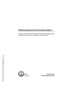 Defining Orphaned and Vulnerable Children ppt