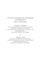 convex analysis and non linear optimization theory and examples - borwein,lewis