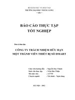 Đề tài: Thực trạng hoạt động sản xuất kinh doanh của công ty TNHH MTV thiết bị số Dmart docx