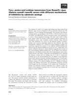 Báo cáo khoa học: Two L-amino acid oxidase isoenzymes from Russell’s viper (Daboia russelli russelli) venom with different mechanisms of inhibition by substrate analogs pdf