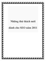Những thử thách mới dành cho SEO năm 2011 ppt