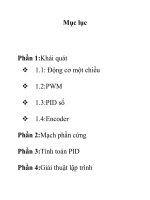 Thiết kế bộ PID dùng vi điều khiển