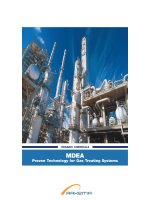 MDEA Proven Technology for Gas Treating Systems ppt