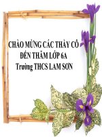Cây dương xỉ sinh học lớp 7