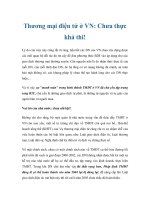 Thương mại điện tử ở VN: Chưa thực khả thi! potx