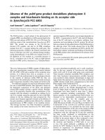 Báo cáo khoa học: Absence of the psbH gene product destabilizes photosystem II complex and bicarbonate binding on its acceptor side in Synechocystis PCC 6803 ppt