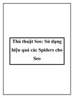 Thủ thuật Seo: Sử dụng hiệu quả các Spiders cho Seo pdf