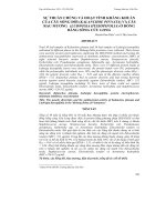 SỰ THUẦN CHỦNG VÀ HOẠT TÍNH KHÁNG KHUẨN CỦA CÂY SỐNG ĐỜI (KALANCHOE PINNATA) VÀ CÂY RAU MƯƠNG (LUDWIGIA HYSSOPIFOLIA) Ở ĐỒNG BẰNG SÔNG CỬU LONG pdf