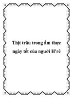 Thịt trâu trong ẩm thực ngày tết của người H''''rê docx