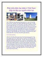 Phát triển điện hạt nhân ở Việt Nam: Gấp rút đào tạo nguồn nhân lực ppt