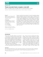 Báo cáo khoa học: Tumor necrosis factor receptor cross-talk docx