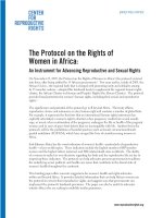 The Protocol on the Rights of Women in Africa: An Instrument for Advancing Reproductive and Sexual Rights pot