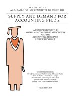 A JOINT PROJECT OF THE AMERICAN ACCOUNTING ASSOCIATION AND THE ACCOUNTING PROGRAMS LEADERSHIP GROUP pdf