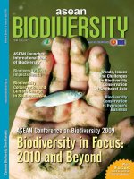 Biodiversity in Focus 2010 an Beyond doc