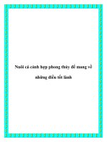 Nuôi cá cảnh hợp phong thủy để mang về những điều tốt lành pptx