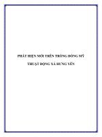 PHÁT HIỆN MỚI TRÊN TRỐNG ĐỒNG MỸ THUẬT ĐỘNG XÁ HƯNG YÊN pdf
