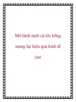 Mô hình nuôi cá lóc bông mang lại hiệu quả kinh tế cao docx