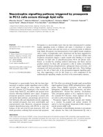 Báo cáo Y học: Neurotrophic signalling pathway triggered by prosaposin in PC12 cells occurs through lipid rafts doc