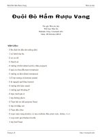 Đuôi Bò Hầm Rượu Vang docx
