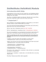 tao module don gian dotnetnuke