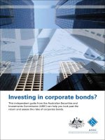 Investing in corporate bonds? ppt