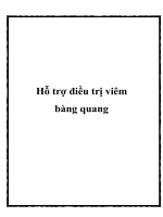 Hỗ trợ điều trị viêm bàng quang docx