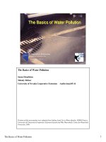 The Basics of Water Pollution potx