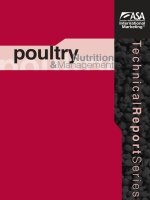 TECHNICAL REPORT SERIES POULTRY NUTRITION & MANAGEMENT potx