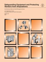 Safeguarding Equipment and Protecting Workers from Amputations pot