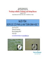 Nuôi tôm: Biofloc có phải là an toàn sinh học ?